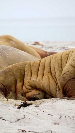 黑料不打烊tttzzz可乐门截图2